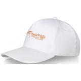 Image of Doyle 5 panel cap